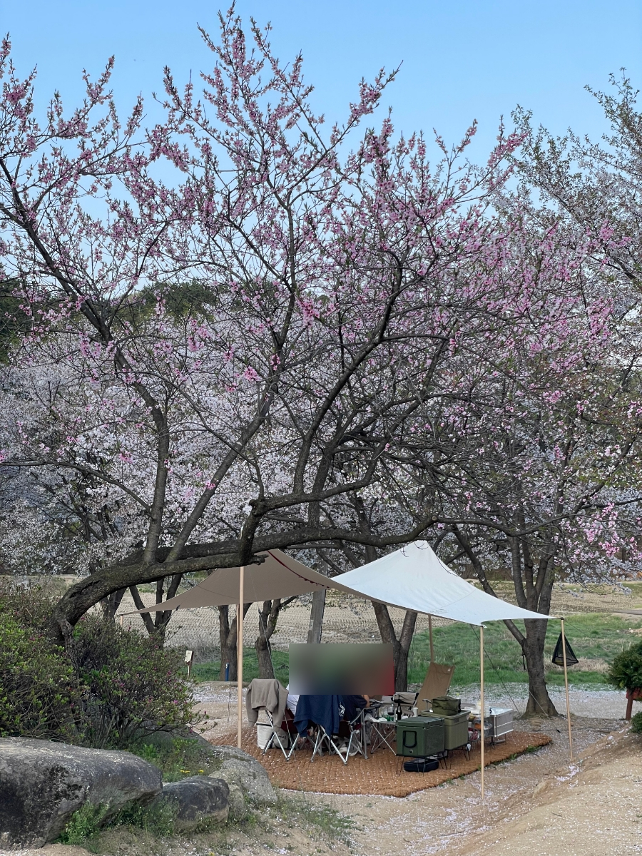용인반딧불캠핑장 이미지