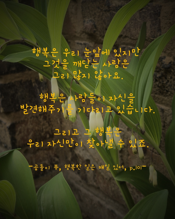 지성문화사 이미지