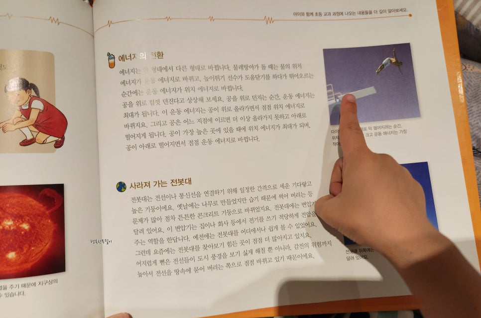 전봇대전집 이미지