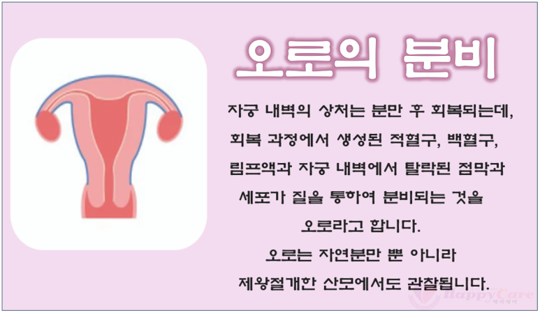 (강동송파)해피케어 이미지