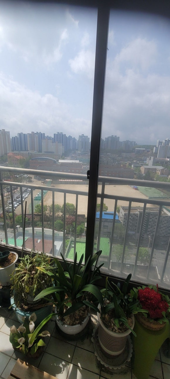 우성온천 이미지