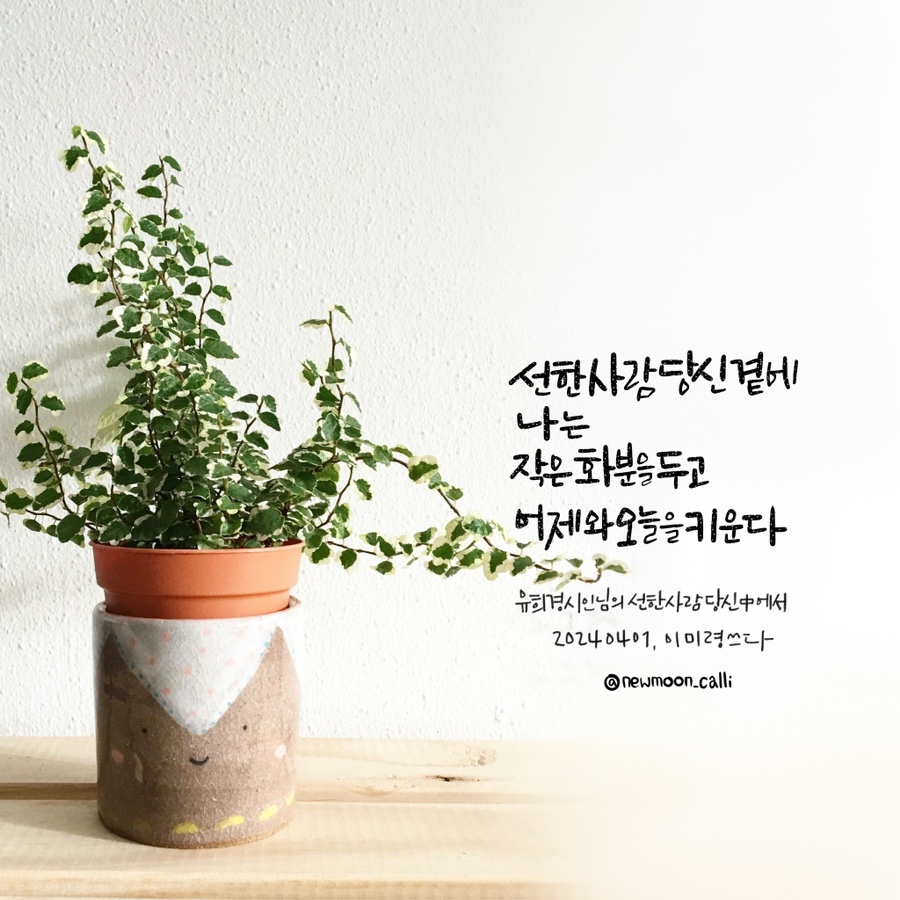 초승달캘리 이미지