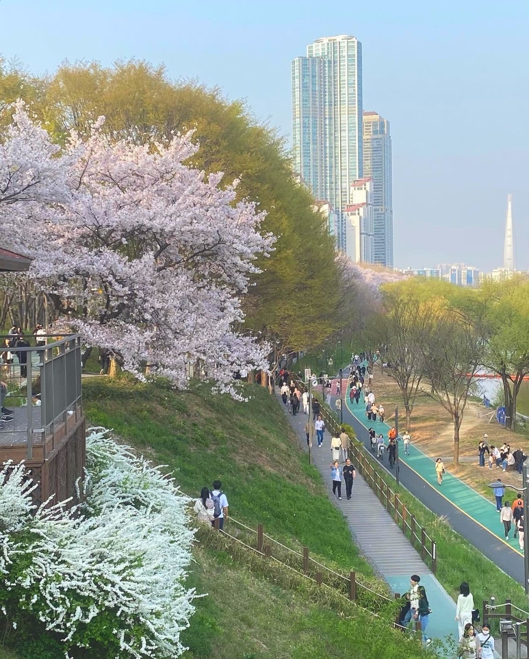 리효베이커리 이미지