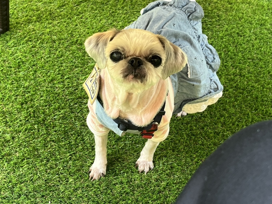 에그2000광주 이미지