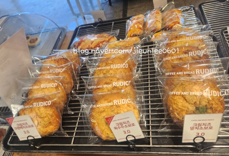 루디꼬 이미지