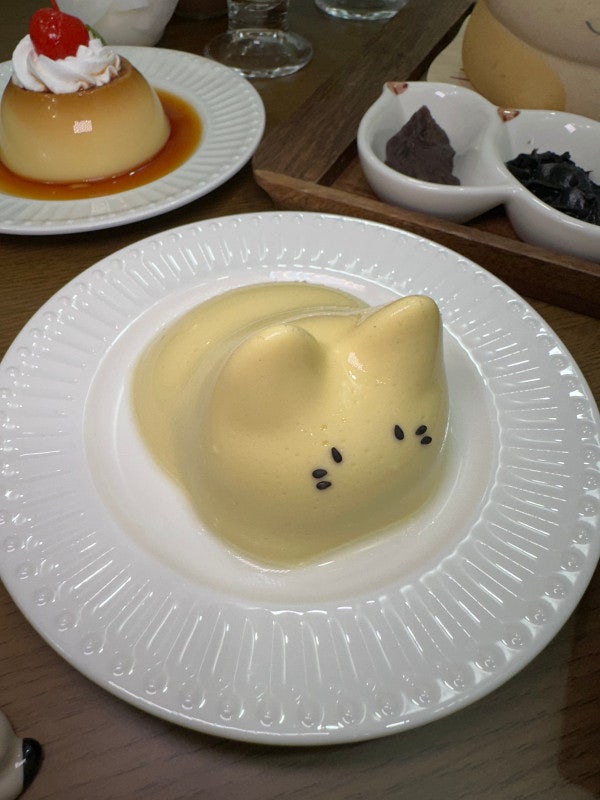 모모후 이미지