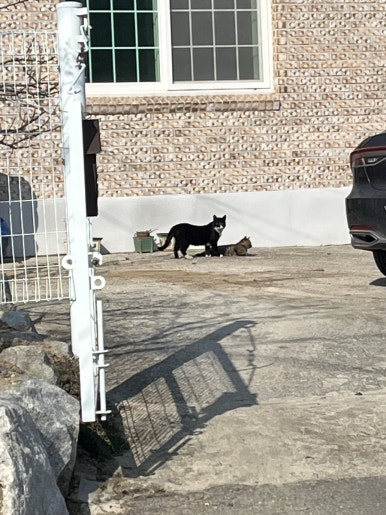 시골민박 이미지