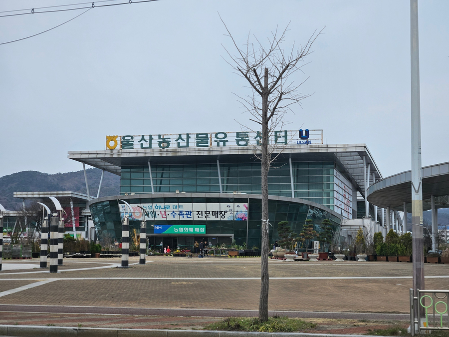 호계시장마트 이미지