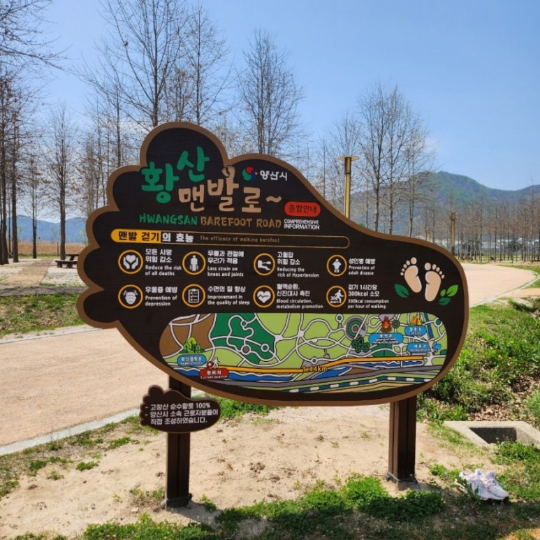 황산신발 이미지