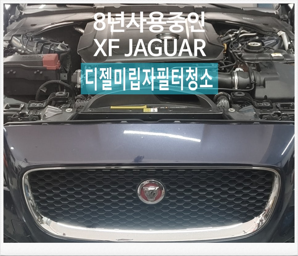 부영모터스 이미지