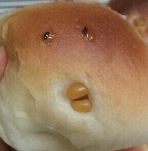 솔리데오음악학원 이미지