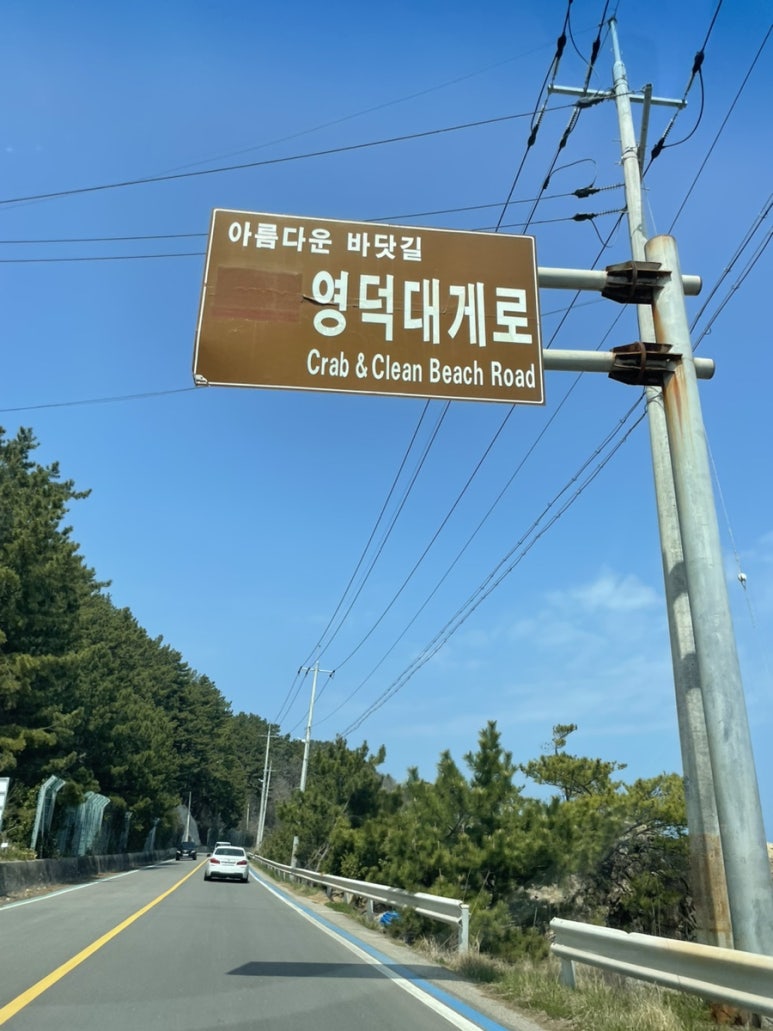 하저리커피 이미지