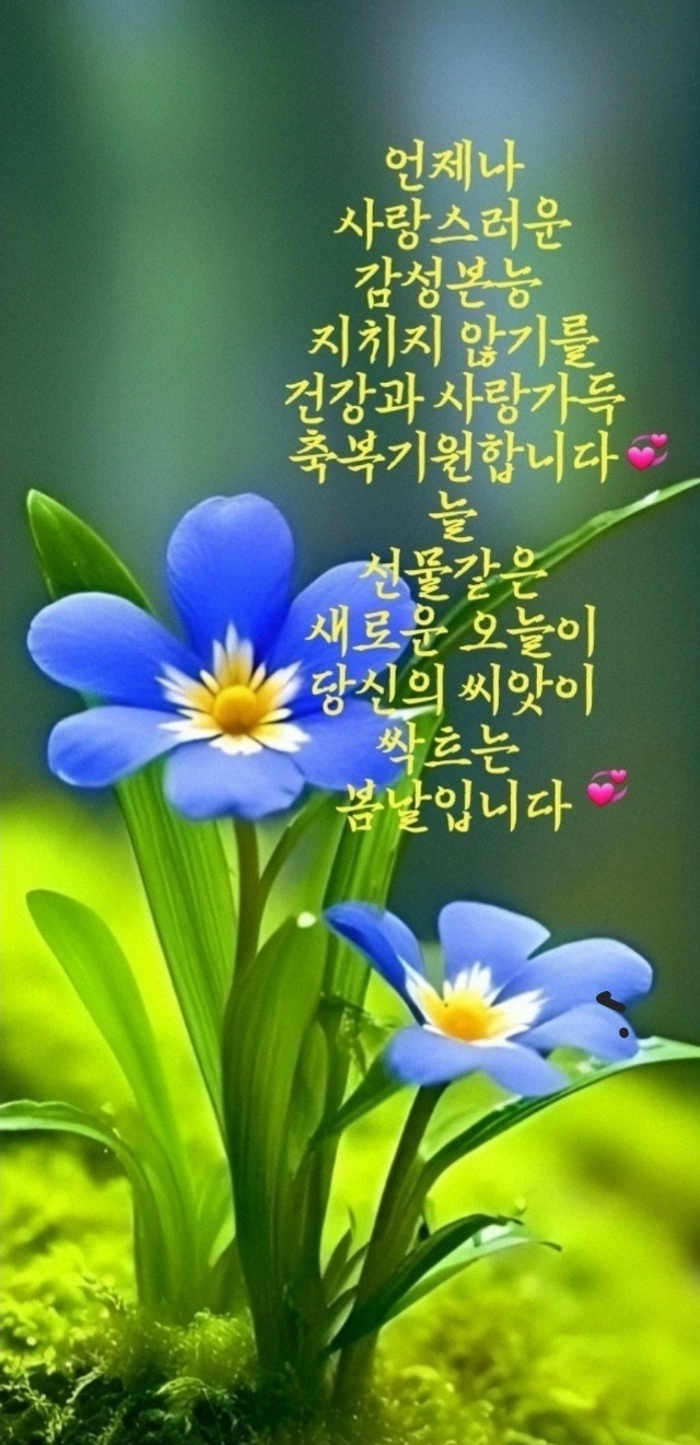 빛나는오늘 이미지
