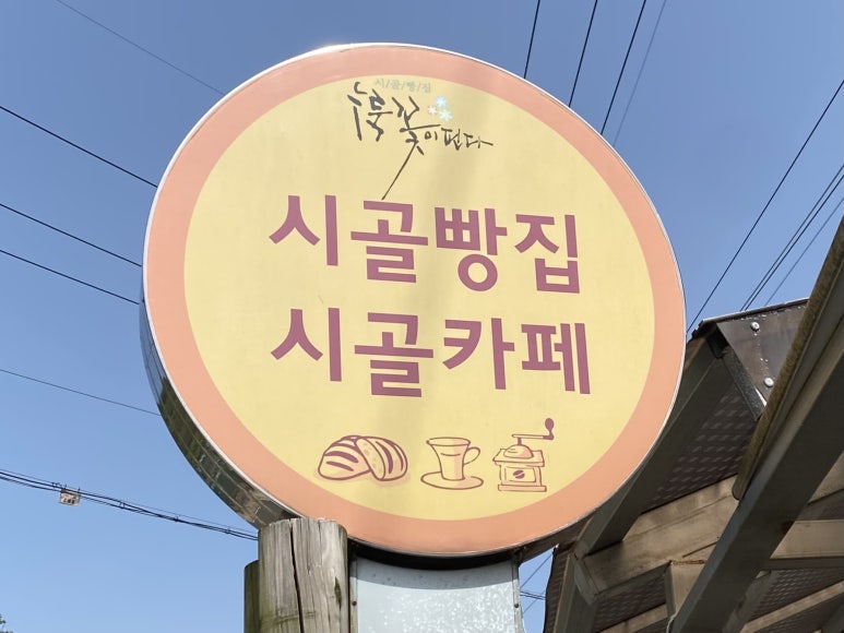 누룩꽃이 핀다 이미지