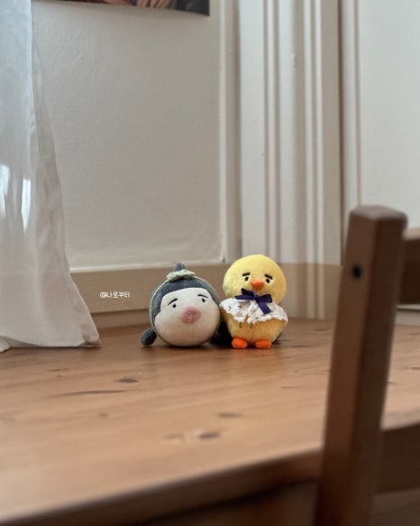 반갑다창문밖고양이 이미지