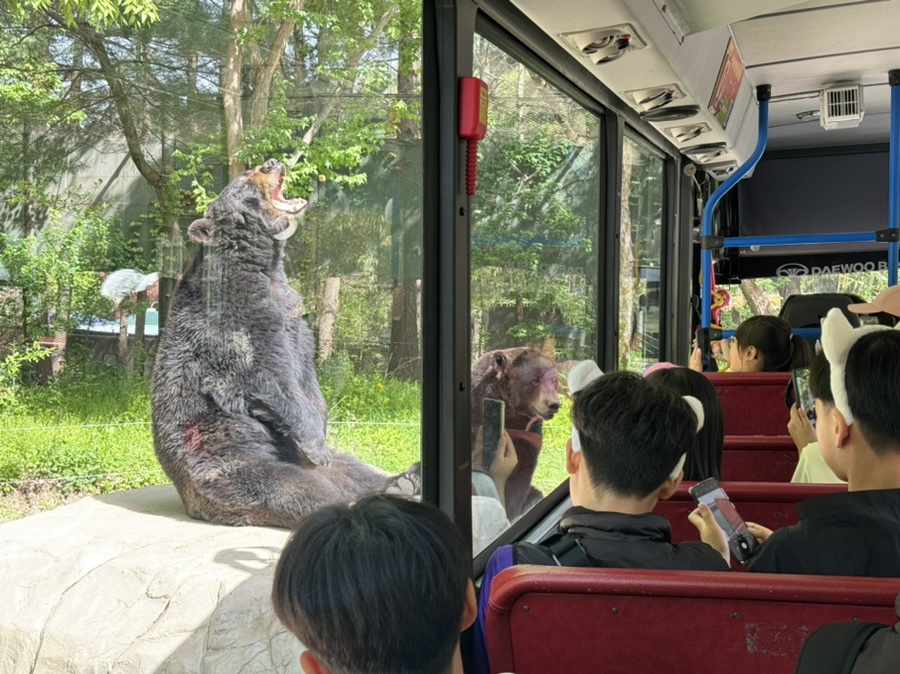 포레스테리어 이미지