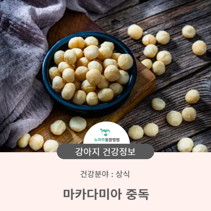 용현견과 이미지