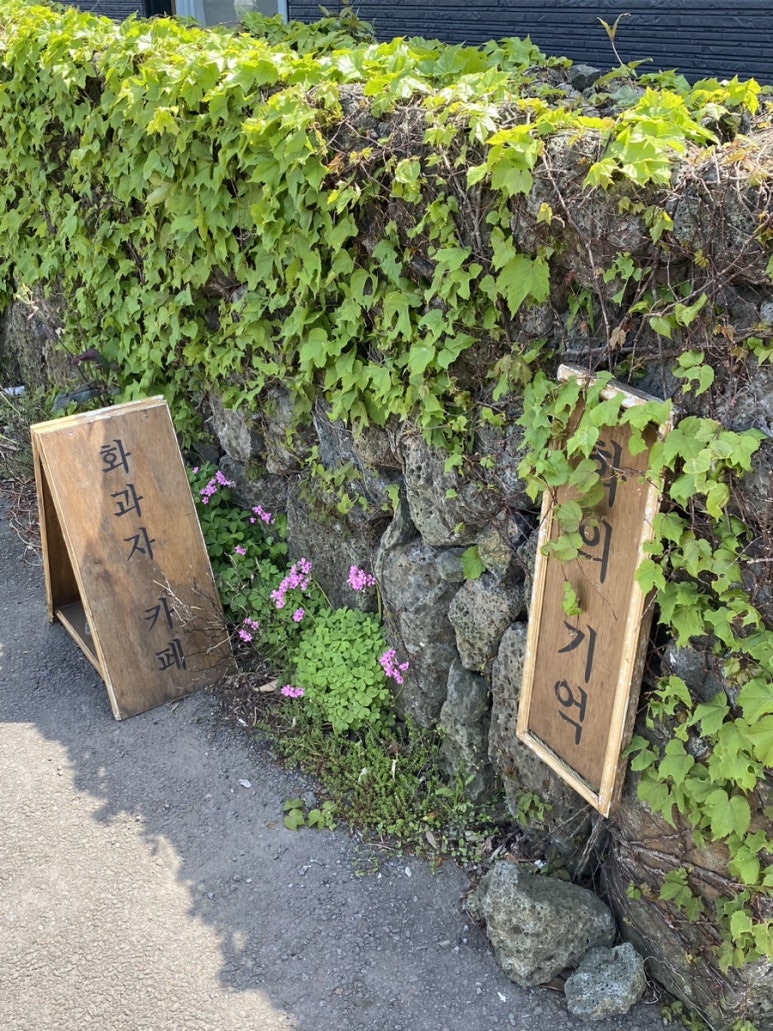 화의기억 이미지