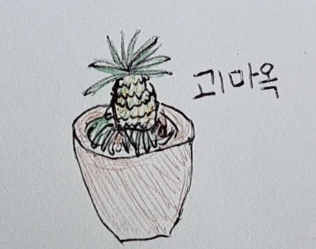 그대머물꽃 이미지