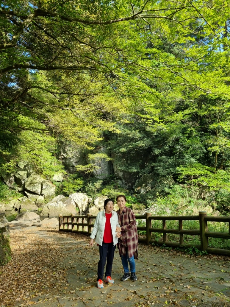 해안손칼국수 이미지