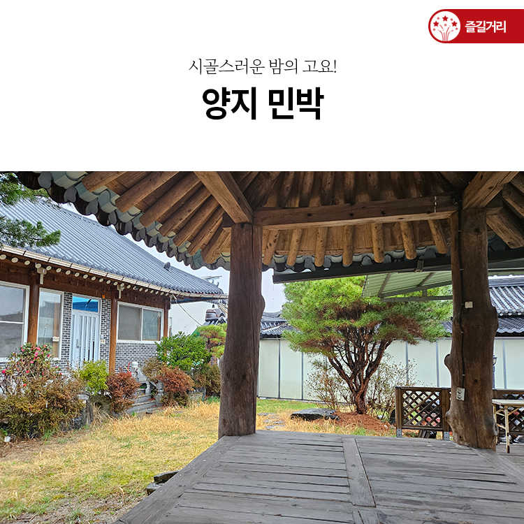 양지민박 이미지