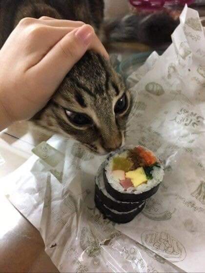 학사김밥 이미지