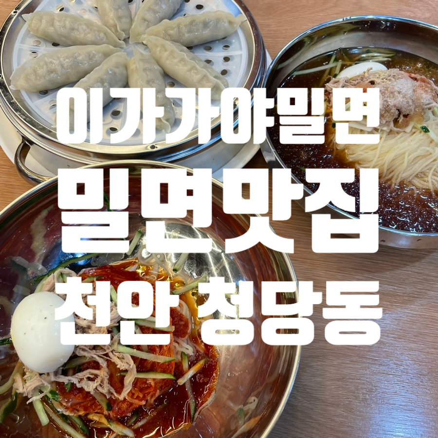 이가가야밀면 이미지