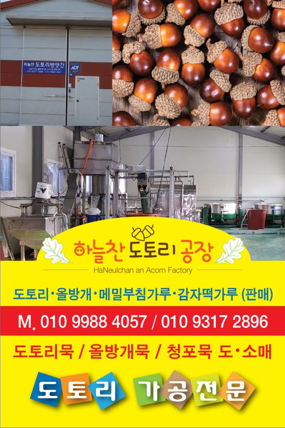 하늘찬도토리 이미지