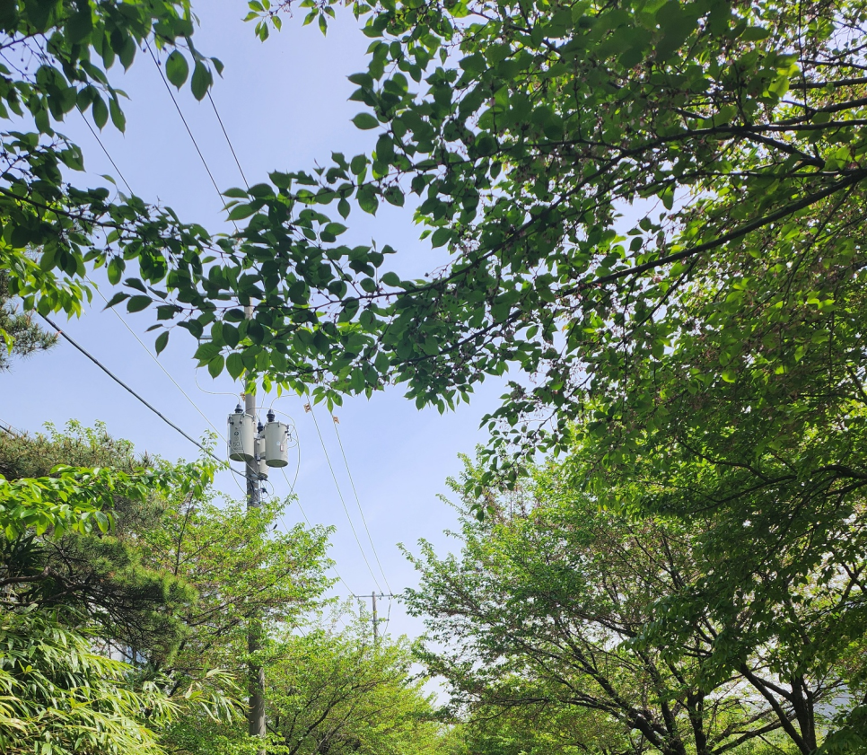 에스씨지솔루션즈(주) 이미지