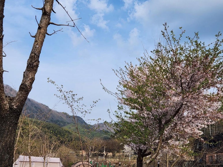 솔밭야영장 이미지