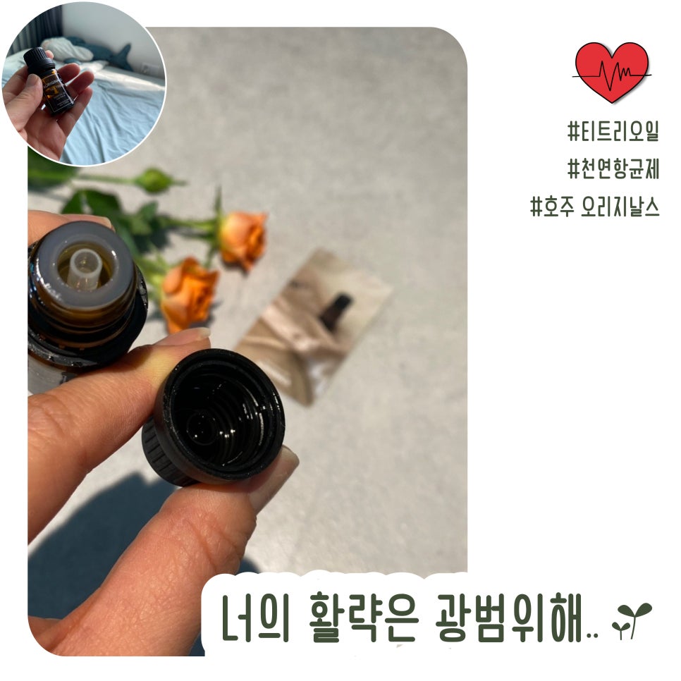 몸이편안한집 이미지