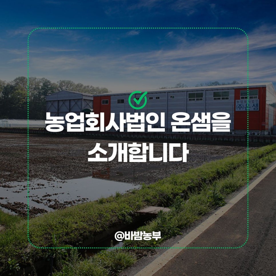 농업회사법인 (주) 온누리 이미지