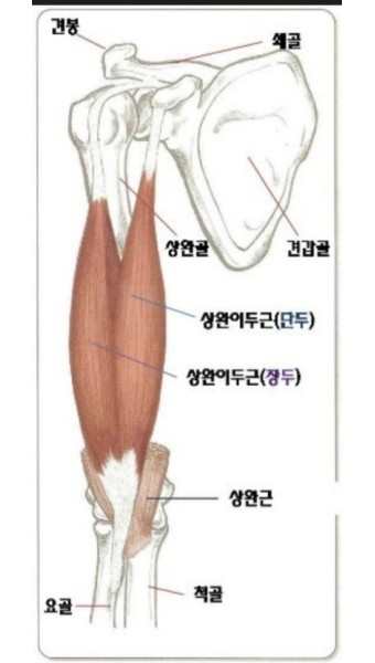 크러쉬짐 이미지