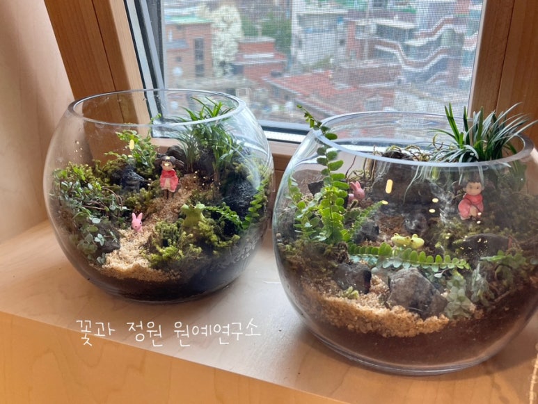 테라리움연구소 이미지