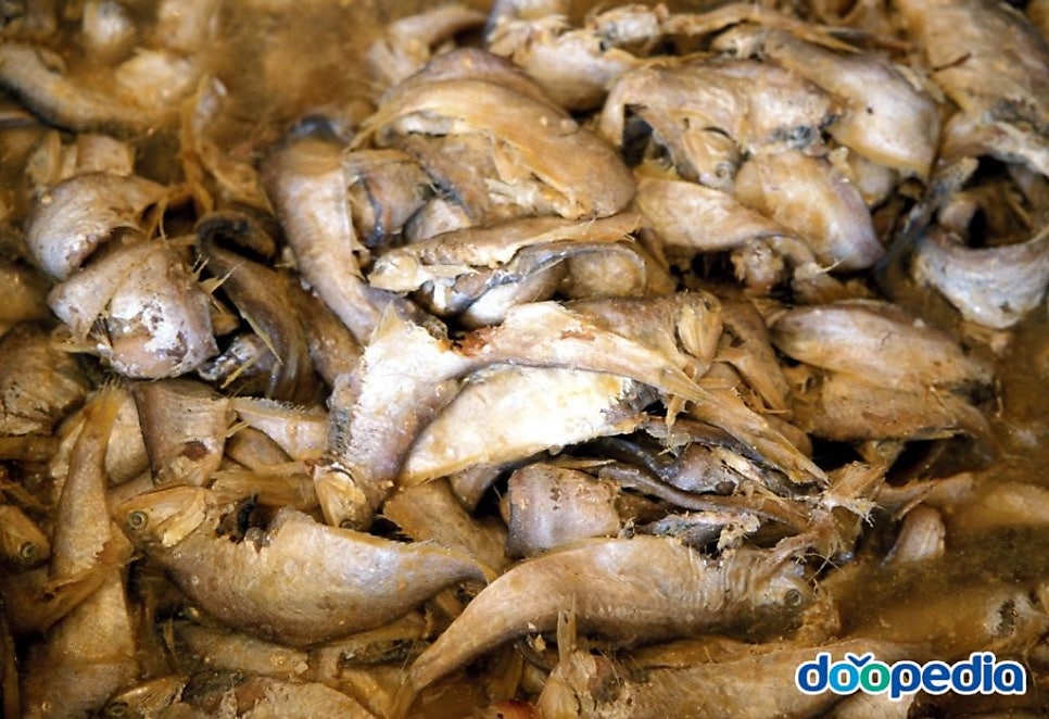 조선젓갈 이미지