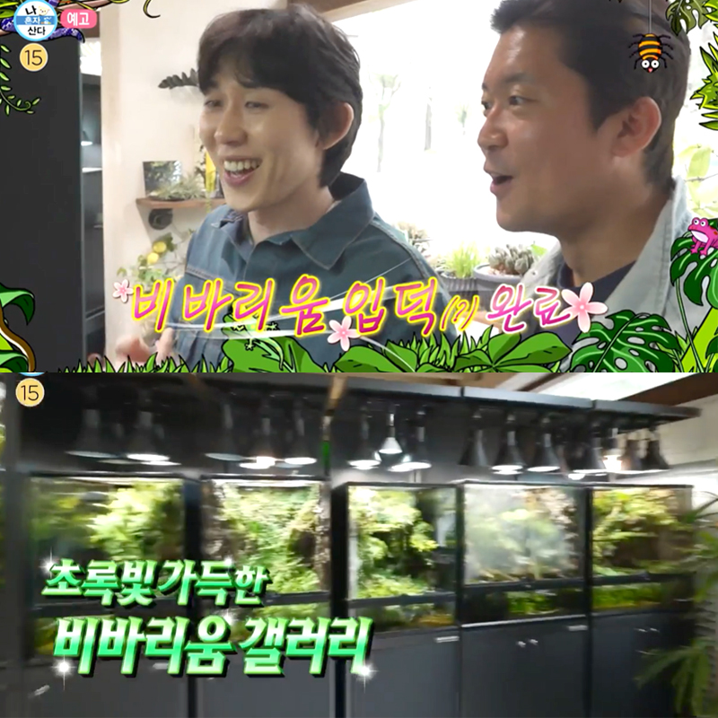 갤러리코쿤 이미지