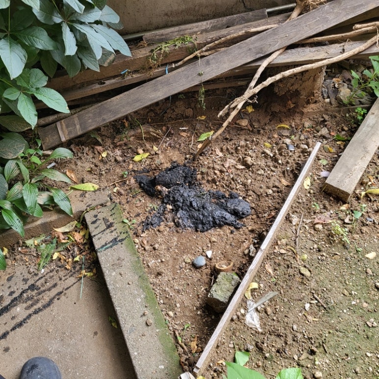 하수구119고압세척 이미지