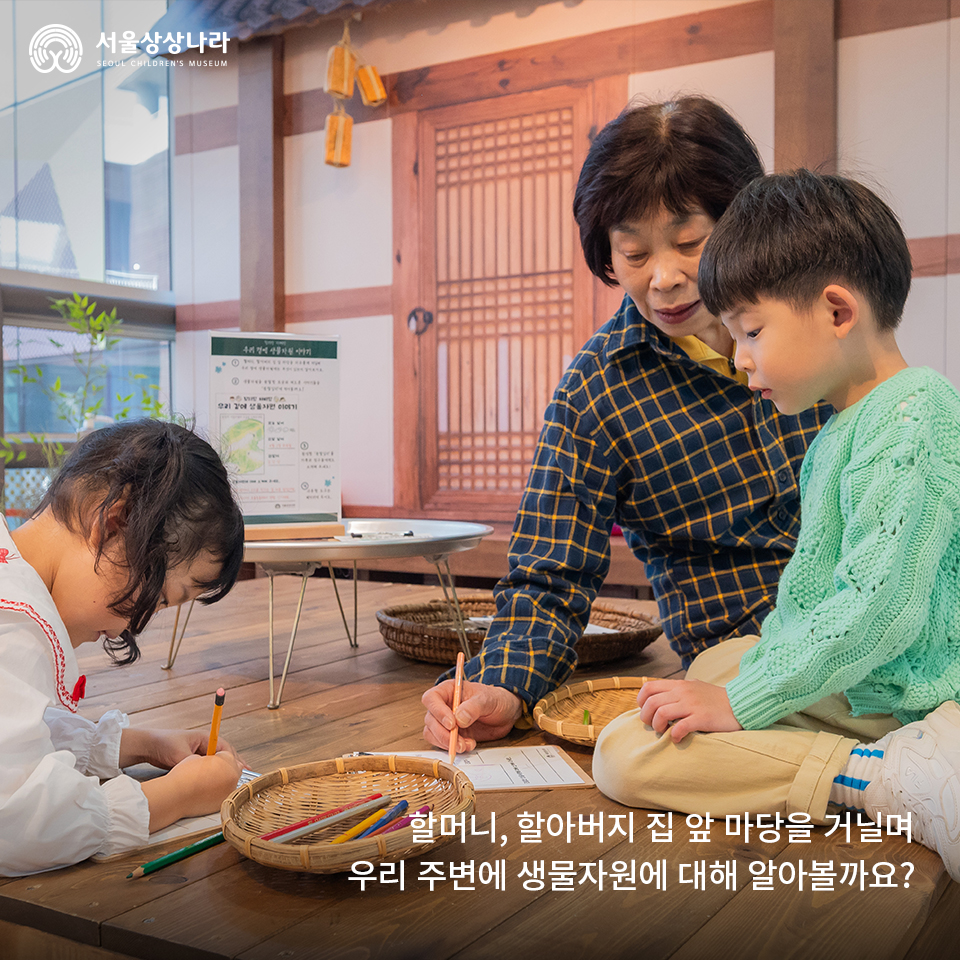 함미하삐 이미지