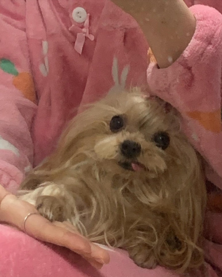별간 이미지
