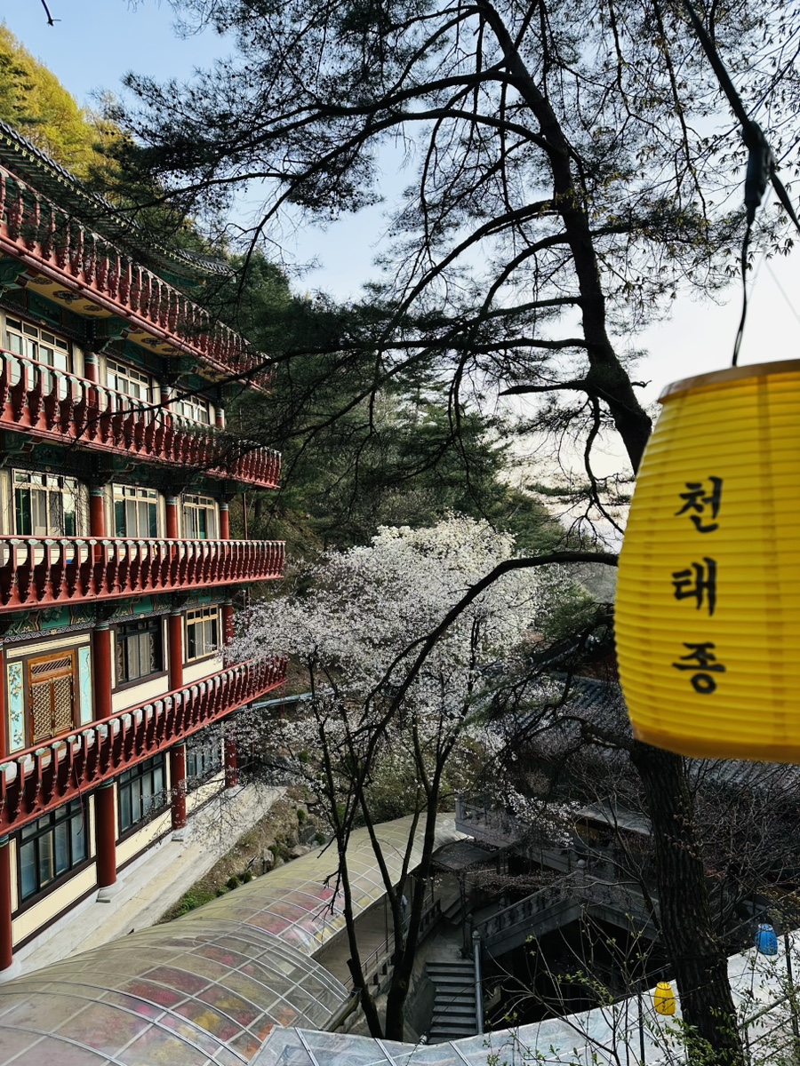 정진세탁소 이미지