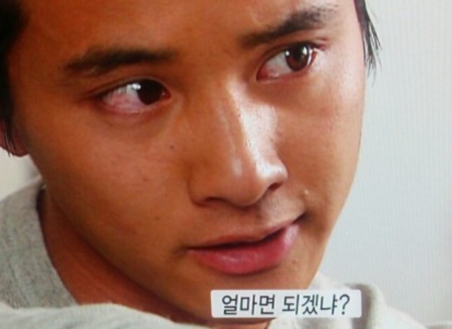 초빼이 이미지