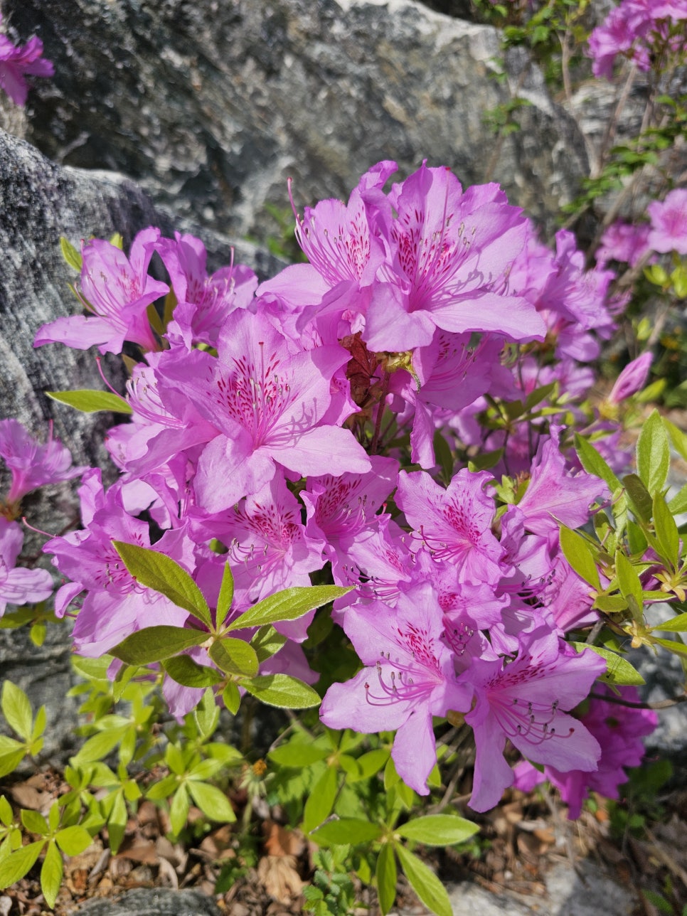 (주)대조 이미지