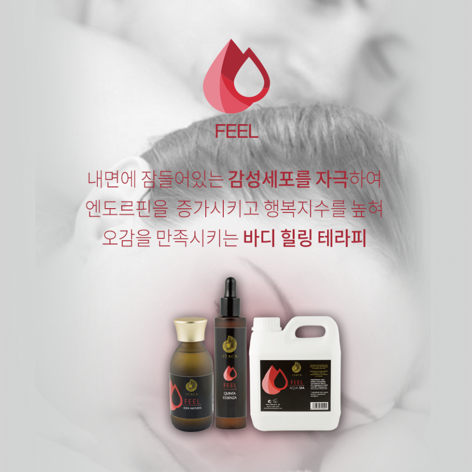 필오일 이미지