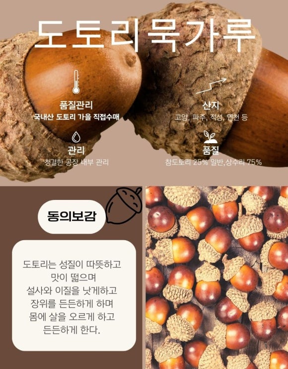 하늘찬도토리 이미지