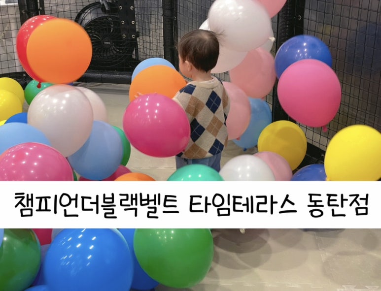 동탄점 챔피언 더 블랙벨트 이미지