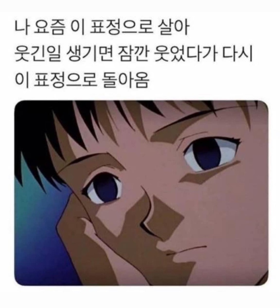 루치펠 이미지