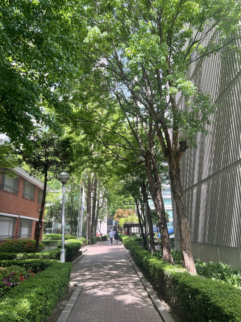 더샌드크로븐 이미지