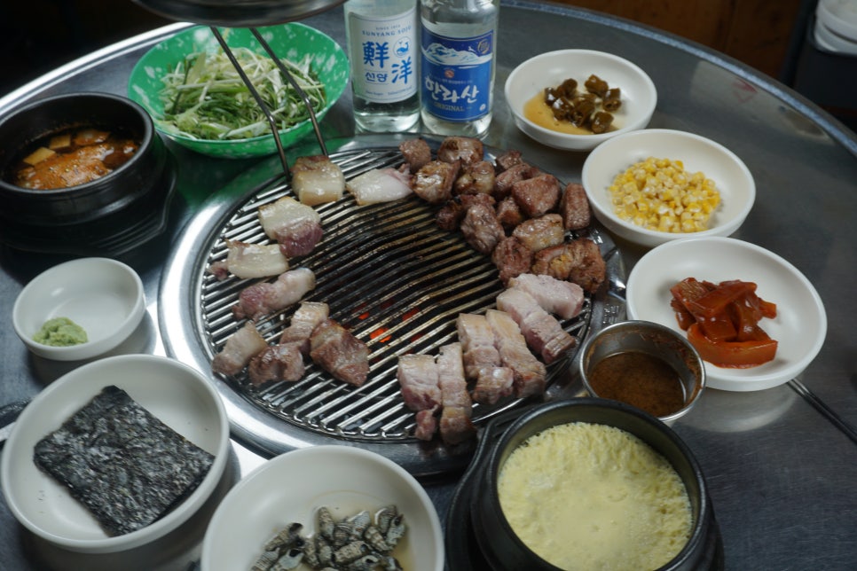 탐라도니 이미지