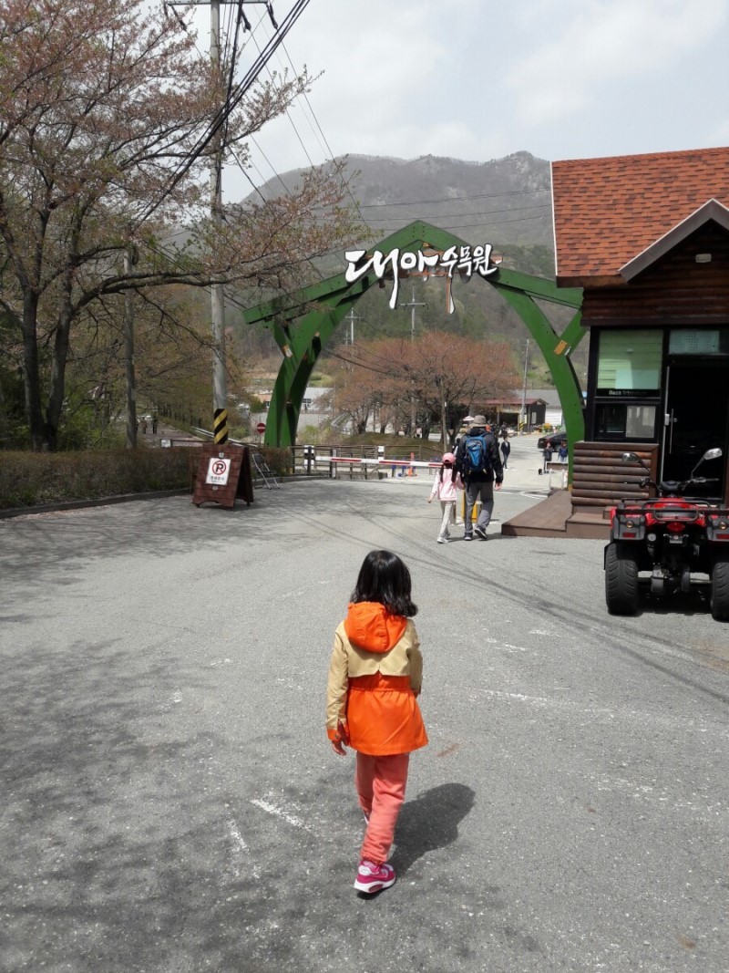 대아수목원 유아숲체험원 이미지