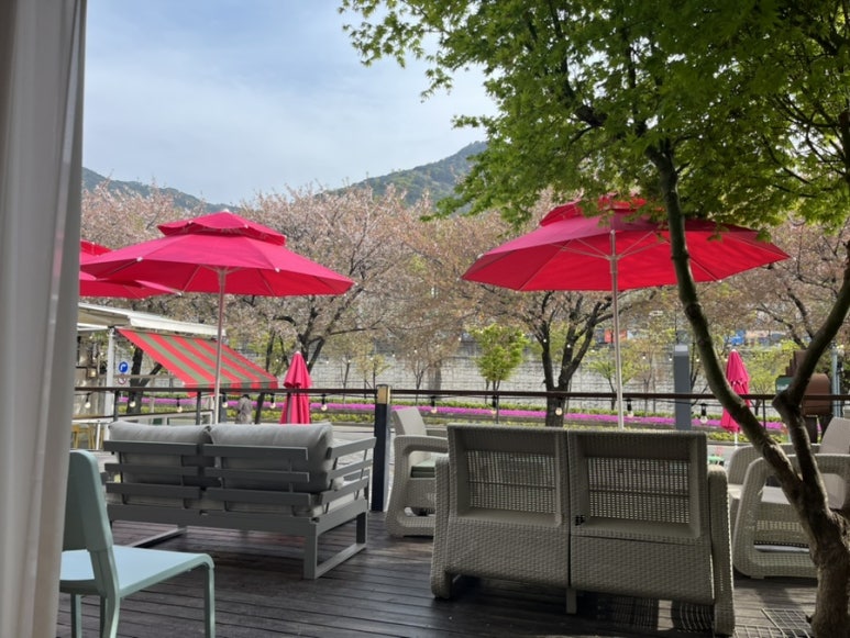 앞산387 이미지